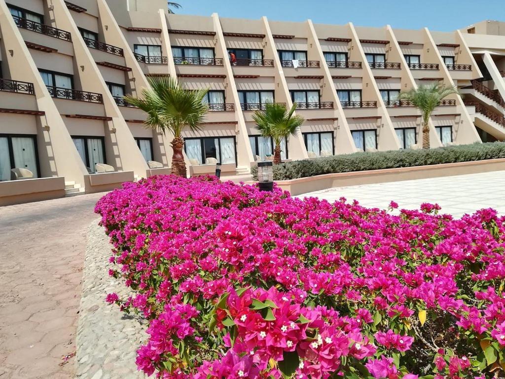 Pharaoh Azur Resort Hurghada Exterior photo